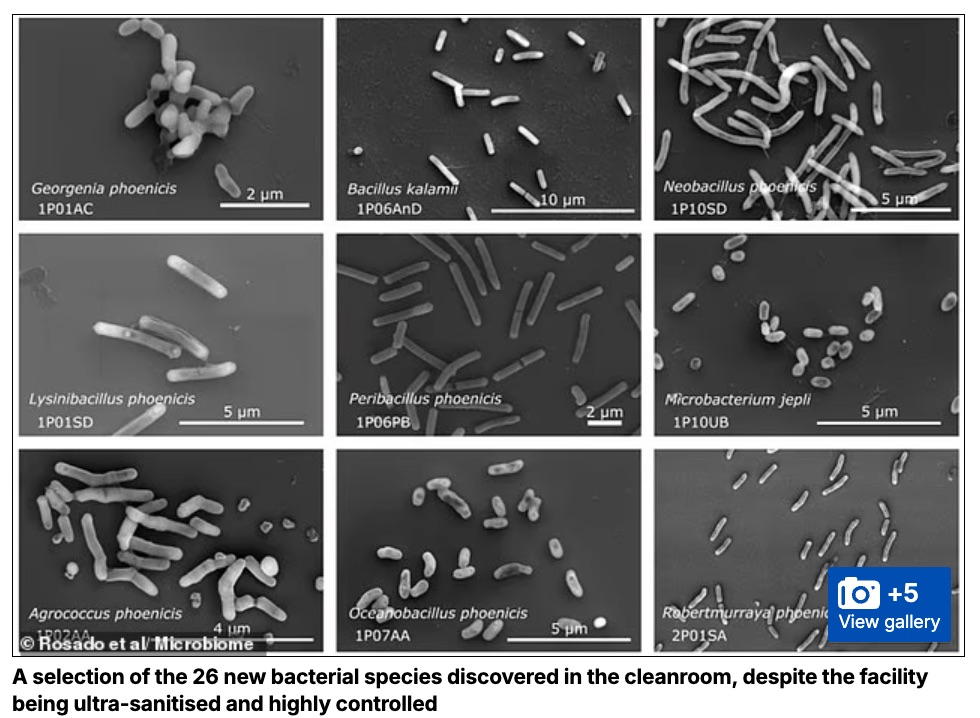 地球で“一番清潔な場所”に「未知の生命」がいた。NASAのクリーンルームで見つかった26種の新種バクテリアの画像1