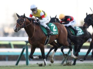 174万円獲得者も！正月の注目イベント！大人だけが手にできる“意外なお年玉”とは？