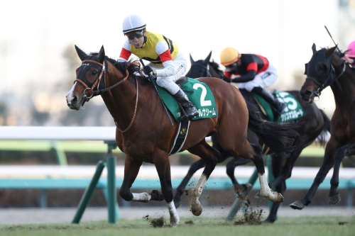 174万円獲得者も!正月の注目イベント!大人だけが手にできる“意外なお年玉”とは?の画像1