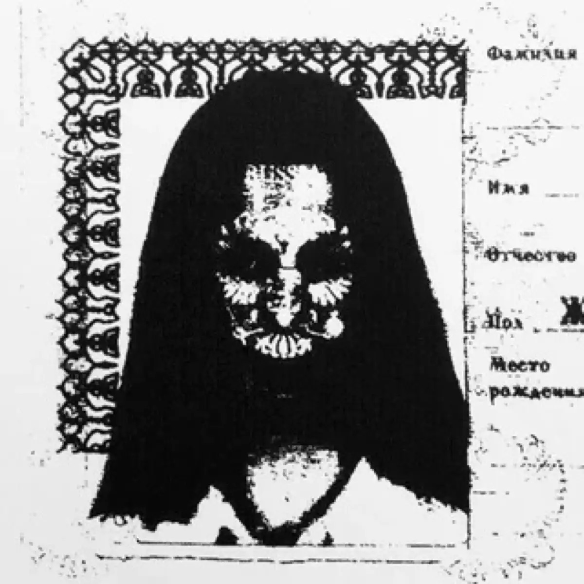 まるで悪夢… ロシアのパスポートをコピーしたら“完全にホラー映画”だと話題にの画像1