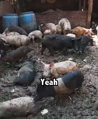 世界197カ国を旅した男が選ぶ「最も汚かった場所」ワースト4の画像4