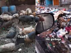 世界197カ国を旅した男が選ぶ「最も汚かった場所」ワースト4