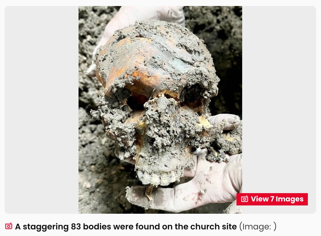 夢のマイホームの床下から「83体の遺体」が出現… そのまま埋め戻して生活する夫婦のメンタルが強すぎるの画像3