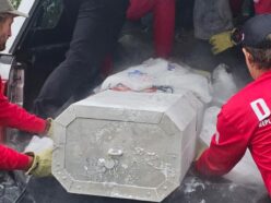 孫がDIYで祖父を“ドライアイス漬け”に！ 狂気の人体冷凍実験を経て『シャイニング』のホテルに辿り着いた遺体の数奇な運命