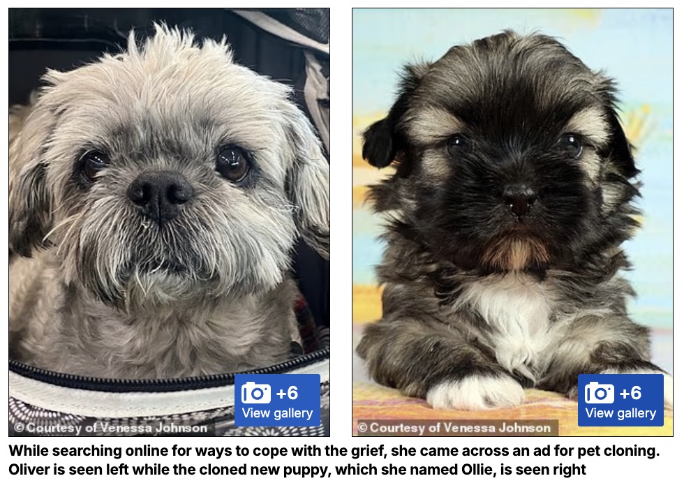 死んだ愛犬を“巨額の費用”でクローン再生した女性が直面した残酷な現実、見た目は同じでも…の画像3