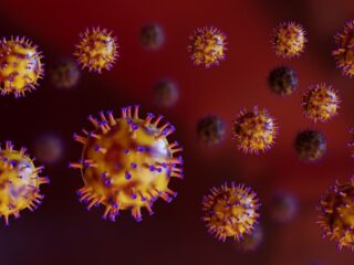 感染症専門医が警告する、2026年に警戒すべき「3つのウイルス」