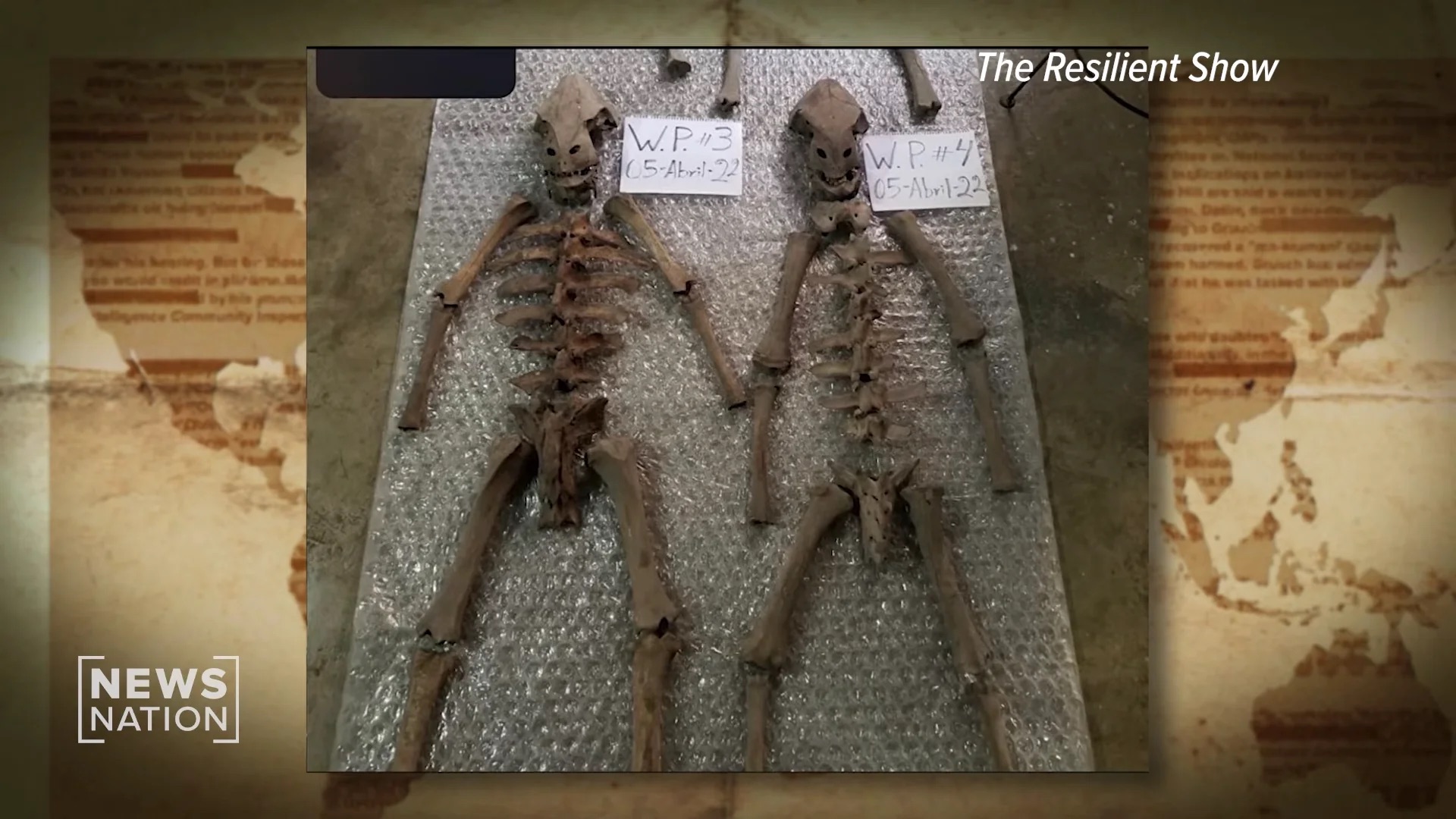 米軍が隠蔽する「非人類の骨格」回収任務で13人が死亡！？ メキシコ地下洞窟に眠る“二重歯列”の異形と中国の影の画像3