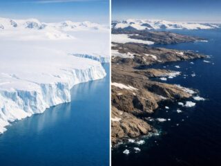 南極の海が“黒く”染まる！？  南極の温暖化加速で起きる「不可逆的な生態系崩壊」のシナリオ
