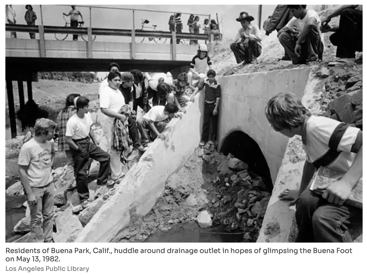 都会の排水路に身長2.7mの怪物が現れた！ カリフォルニアを震撼させた「ブエナ・フット」事件… 警察が隠蔽した“地獄の悪臭”の正体の画像2