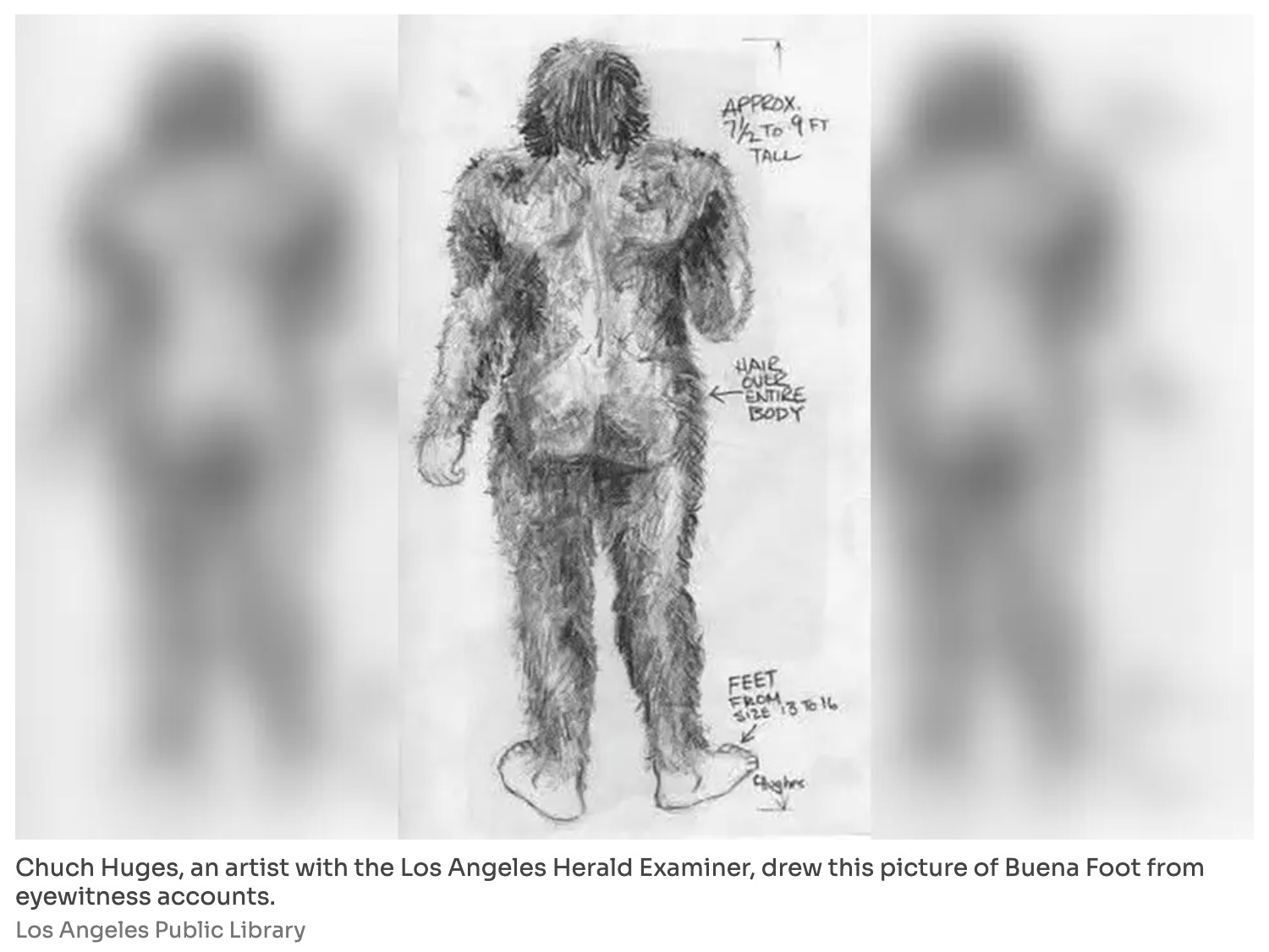 都会の排水路に身長2.7mの怪物が現れた！ カリフォルニアを震撼させた「ブエナ・フット」事件… 警察が隠蔽した“地獄の悪臭”の正体の画像3