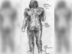 都会の排水路に身長2.7mの怪物が現れた！ カリフォルニアを震撼させた「ブエナ・フット」事件… 警察が隠蔽した“地獄の悪臭”の正体