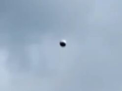 「ブガ・スフィア」再来か！？ 伐採作業中に現れた“超加速”する金属オーブの戦慄＝コロンビア