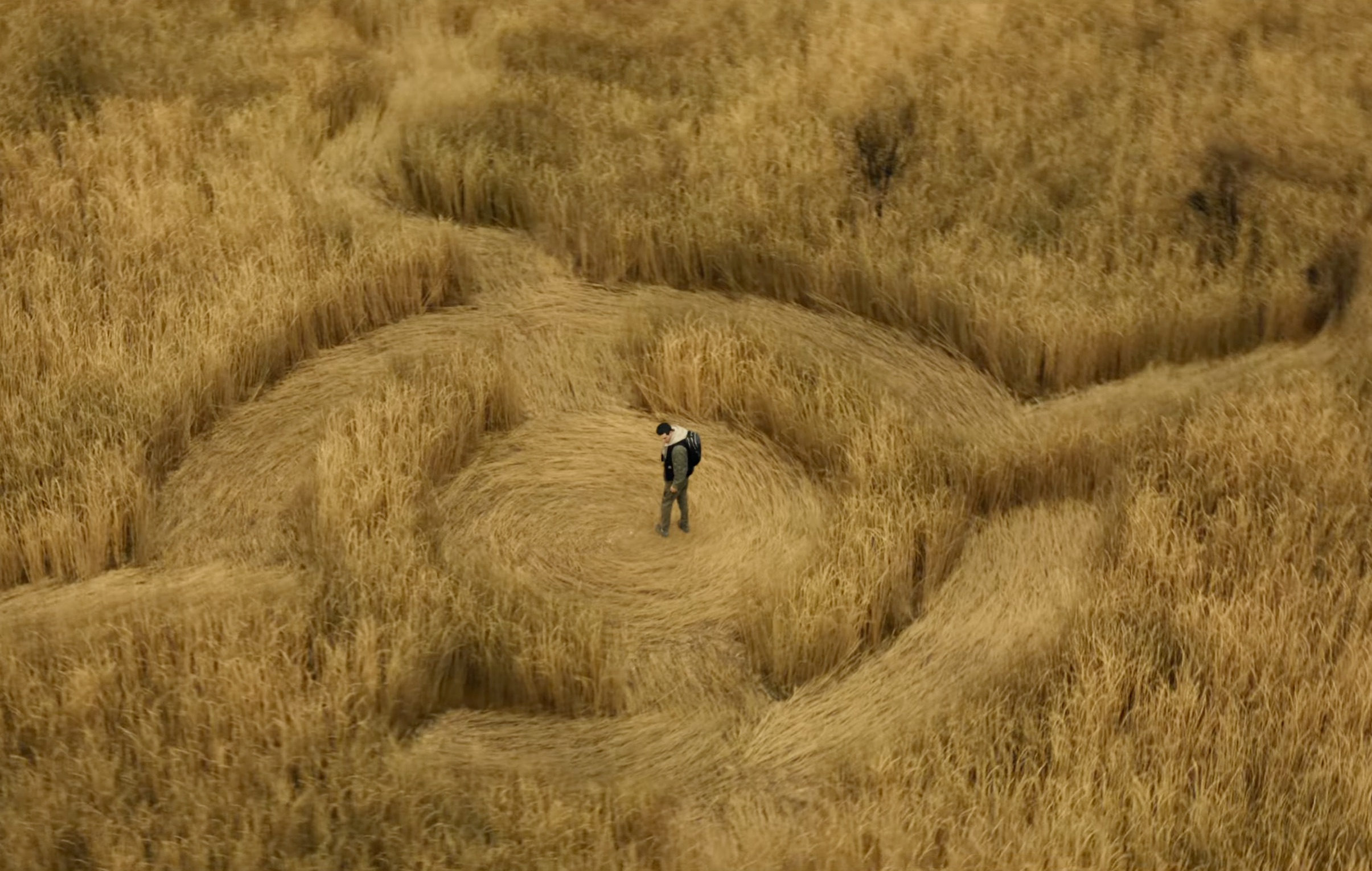 スピルバーグ最新作『Disclosure Day』のフル予告編がついに解禁！ スーパーボウルで公開された“UFO情報開示”を巡る戦慄の映像の画像2