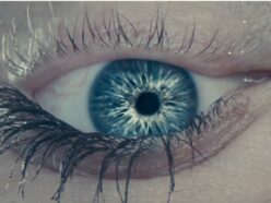 スピルバーグ最新作『Disclosure Day』のフル予告編がついに解禁！ スーパーボウルで公開された“UFO情報開示”を巡る戦慄の映像