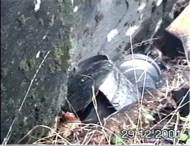 雪原で見つかった“戦慄の発見”5選！ 死を招く円筒から3万年前のゾンビ細菌まで、白銀が隠した不都合な真実の画像2