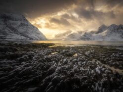 雪原で見つかった“戦慄の発見”5選！ 死を招く円筒から3万年前のゾンビ細菌まで、白銀が隠した不都合な真実