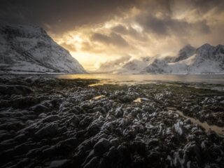 雪原で見つかった“戦慄の発見”5選！ 死を招く円筒から3万年前のゾンビ細菌まで、白銀が隠した不都合な真実