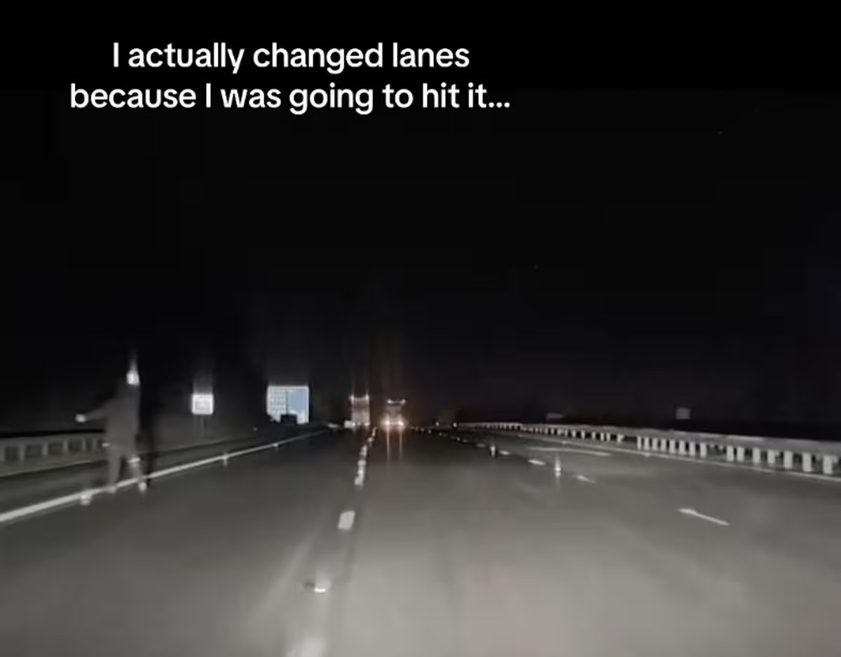 【戦慄】深夜のハイウェイに「スレンダーマン」が出現!? ドラレコが捉えた“発光する頭”と不自然な四肢の画像2