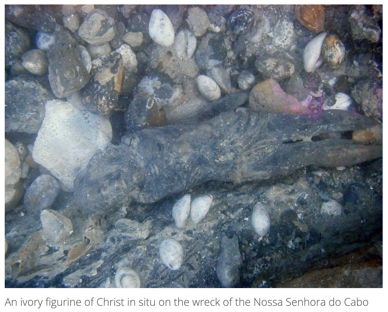 1億ドル超の財宝が眠る「海賊船」をついに発見！ 考古学者が16年の執念で暴いたマダガスカル沖の沈没船の画像3