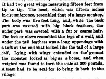 1892年「モスマン」が射殺されていた!? 翼開長5m、猿の顔と狼の爪を持つ“異形の怪物”との死闘と消えた死体の行方の画像3