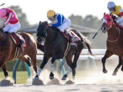 日本代表が衝撃の30億円ゲット！波乱必至の砂の王者決定戦フェブラリーステークスも重賞マスターにおまかせ！