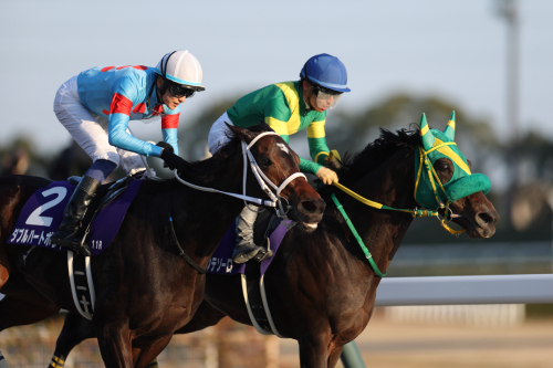 日本代表が衝撃の30億円ゲット！波乱必至の砂の王者決定戦フェブラリーステークスも重賞マスターにおまかせ！の画像2