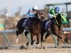 “うま年”初のG1レースに一攫千金の予感…。ヒントは高市総理馬券？