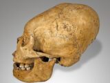 「エイリアンの頭蓋骨」は世界中に存在した!? 1万3000年前から現代まで続く“頭蓋変形”の深い謎