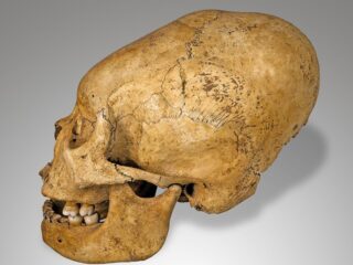 「エイリアンの頭蓋骨」は世界中に存在した!? 1万3000年前から現代まで続く“頭蓋変形”の深い謎