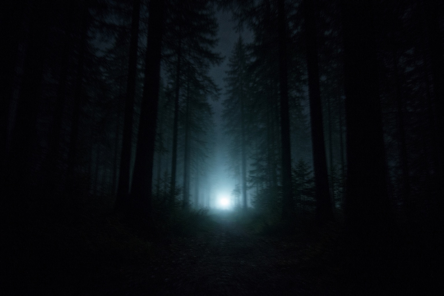 「全部は言わないけどスゴい映像が出るぞ!」トランプのUFO機密公開、担当議員が“意味深”な進捗をポロリの画像3