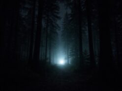 「全部は言わないけどスゴい映像が出るぞ！」トランプのUFO機密公開、担当議員が“意味深”な進捗をポロリ