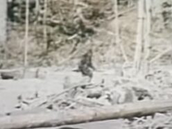 伝説のビッグフット映像「パターソン・ギムリン・フィルム」はヤラセだった？ 暴露ドキュメンタリーが主張する“幻のリハーサル映像”の存在