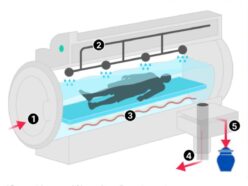 遺体を溶かして下水に流す“水葬”が英国で合法化！「ボイル・イン・ア・バッグ」葬儀の衝撃的な実態とは？