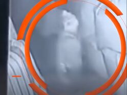 体が透けては実体化する「子供の幽霊」を激写！？ 深夜市場で起きた怪現象にSNS騒然＝ボリビア