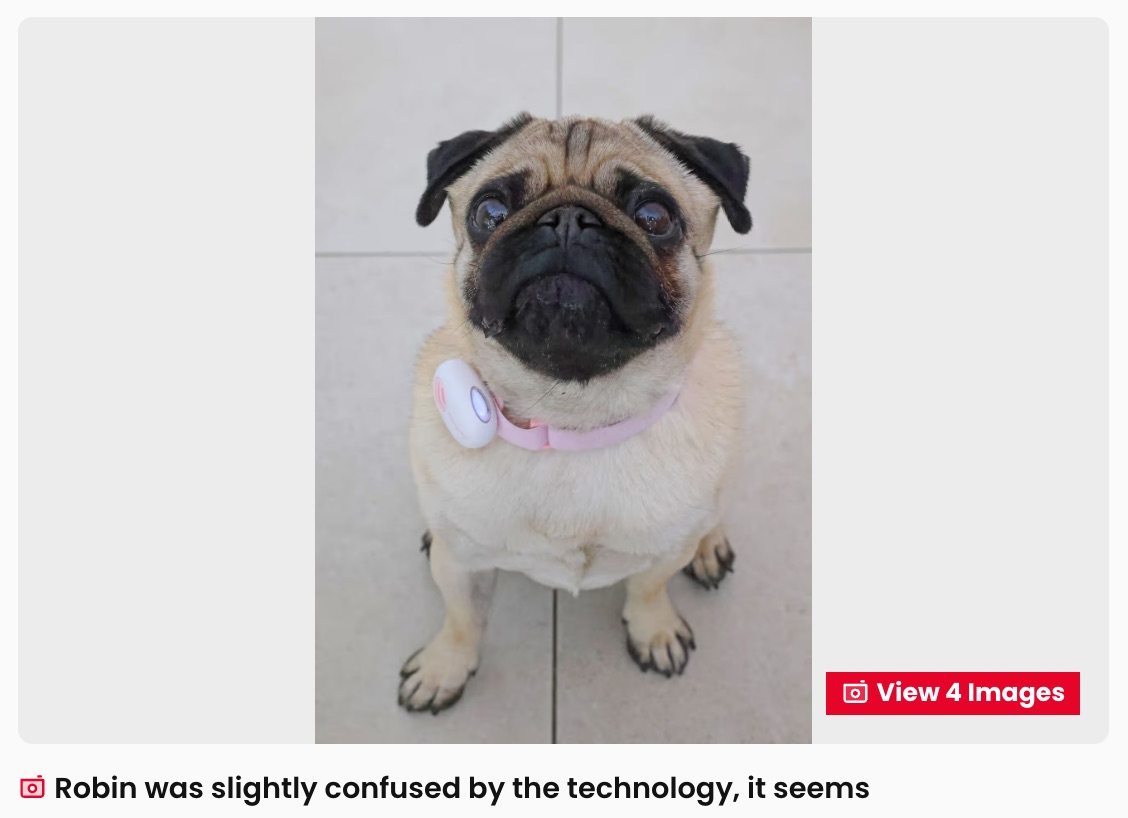 愛犬の心の声が聞けるAI翻訳首輪「ドリトル」予想外のカオスに・・・の画像3