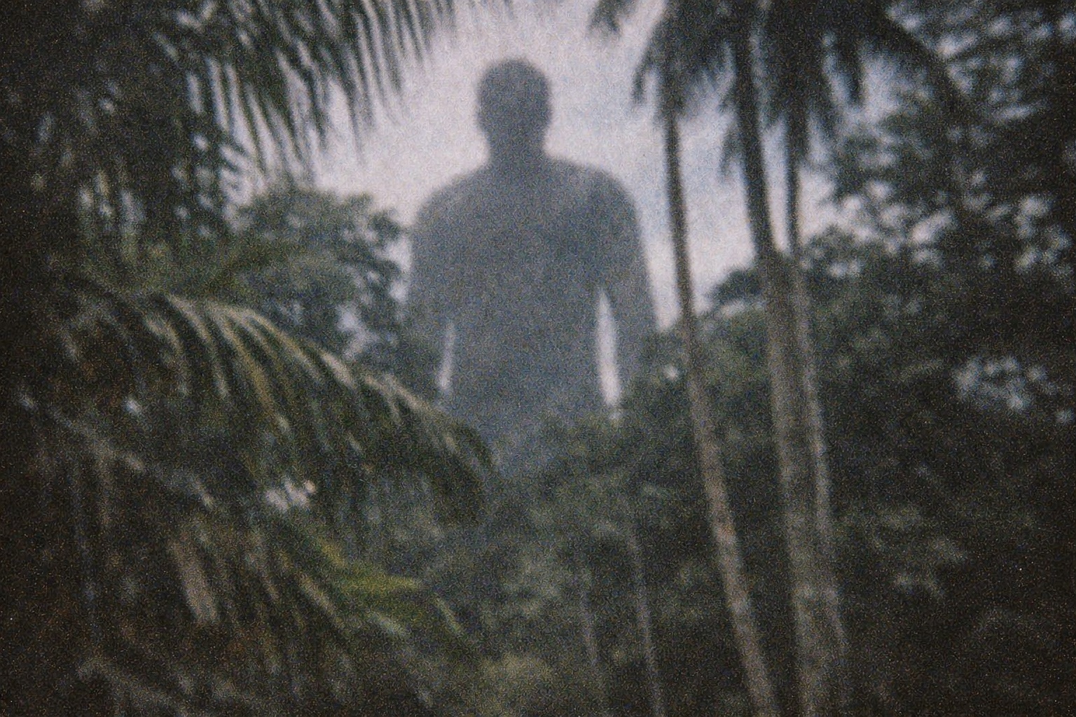 「地面が震えた…」 内戦下の密林で7人の兵士が目撃した“超巨大人間”のミステリーの画像3