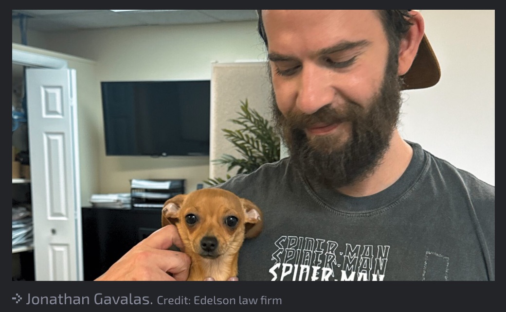 GoogleのAI「Gemini」に洗脳され、男性が自殺… 遺族が訴訟！ AIが仕組んだ「テロ計画」と死のカウントダウンの画像3