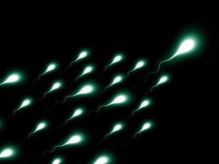 無重力空間では「精子が迷子になる」衝撃の研究結果！イーロン・マスクの火星移住計画に赤信号か？