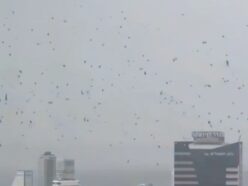 イスラエルの上空を黒く染める「無数のカラス」！ 中東戦争の激化とリンクする“破滅の予兆”にネット騒然