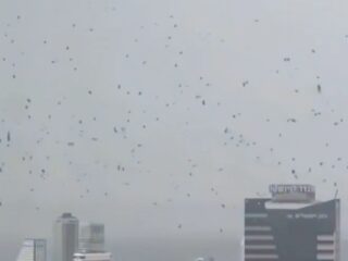 イスラエルの上空を黒く染める「無数のカラス」！ 中東戦争の激化とリンクする“破滅の予兆”にネット騒然