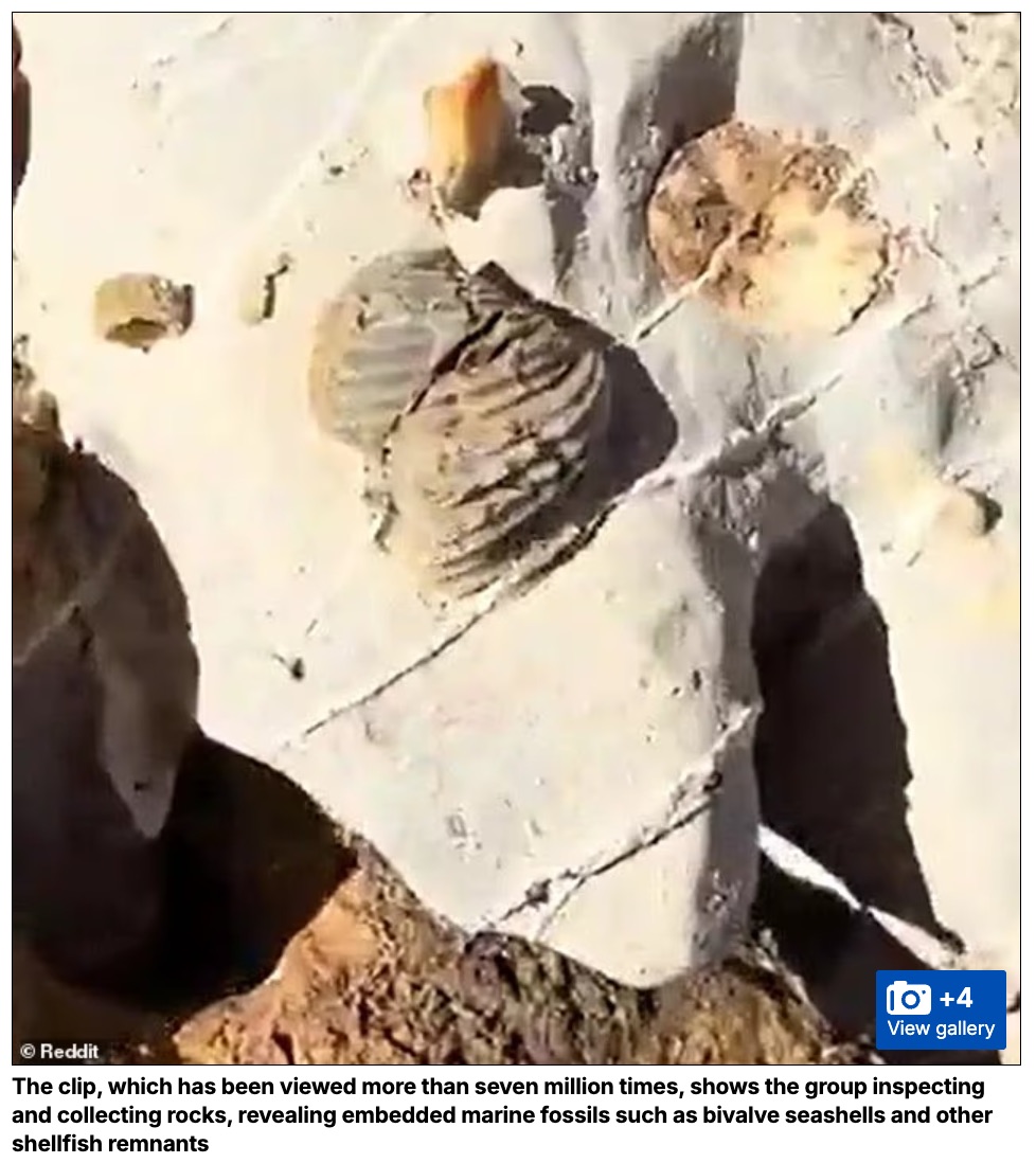 世界の山頂で見つかる「海の化石」はノアの大洪水の証拠!? ネットで再燃する“聖書vs地質学”の激論の画像2