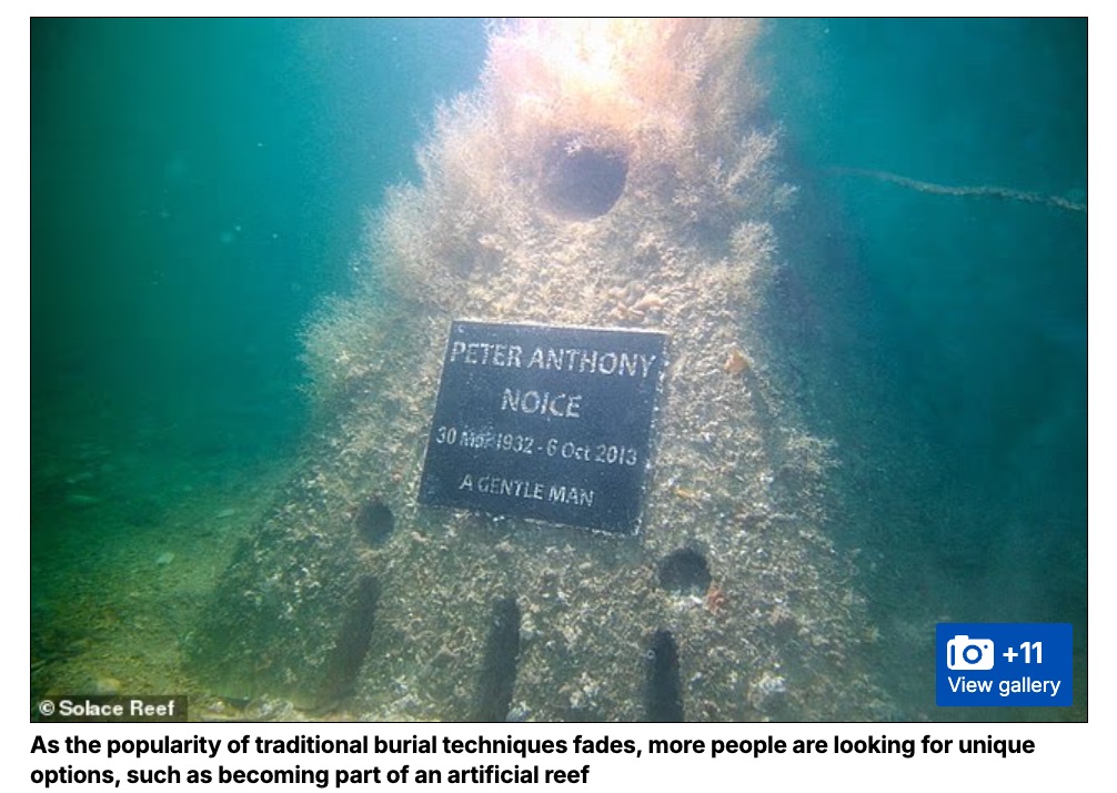 急増する「次世代の埋葬」最新事情！ 宇宙へ、あるいは海のサンゴ礁へ… あなたはどれを選ぶ？の画像2