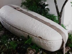 急増する「次世代の埋葬」最新事情！ 宇宙へ、あるいは海のサンゴ礁へ… あなたはどれを選ぶ？