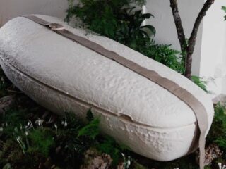 急増する「次世代の埋葬」最新事情！ 宇宙へ、あるいは海のサンゴ礁へ… あなたはどれを選ぶ？