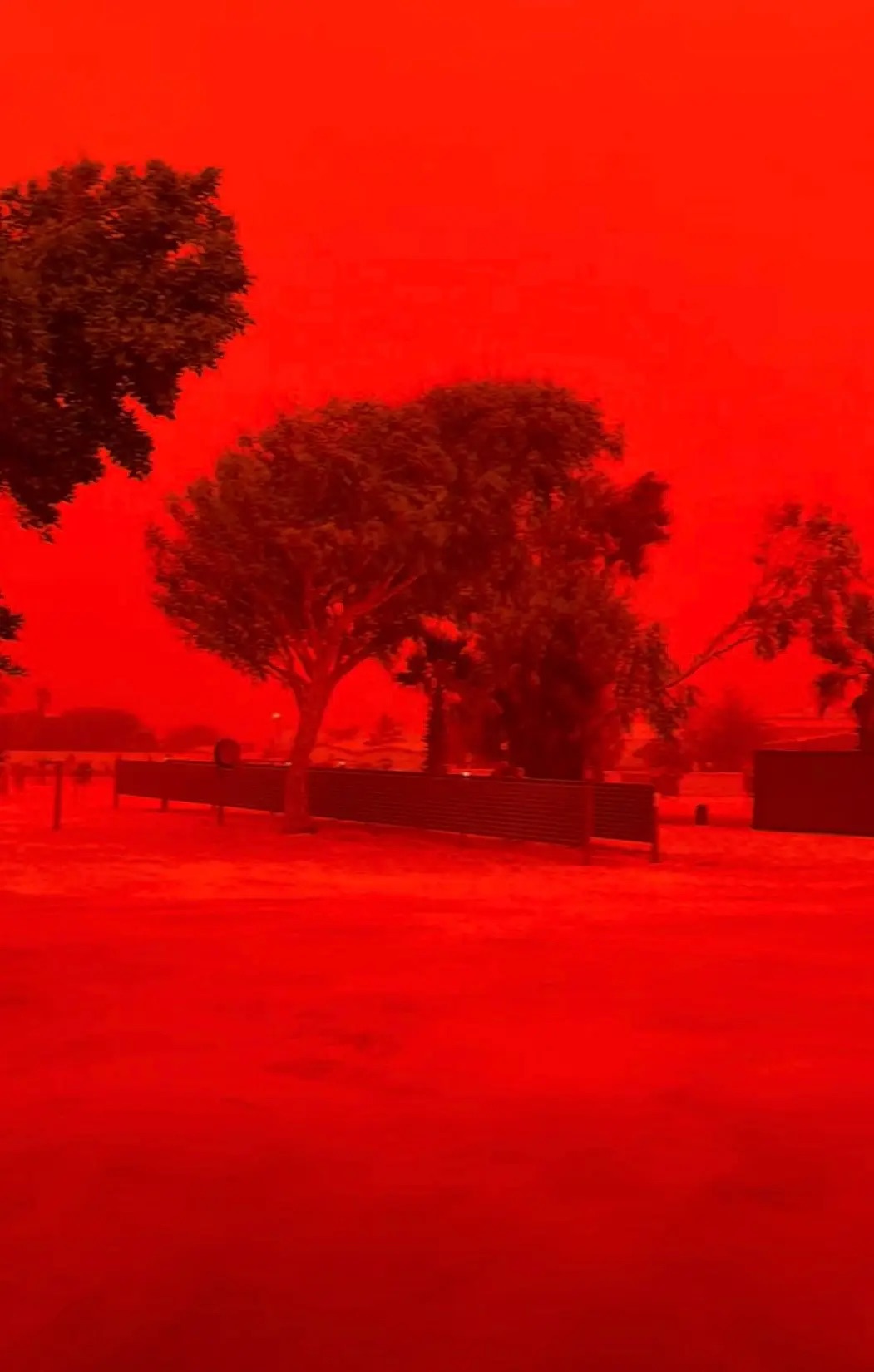 空が真っ赤に染まる「終末の光景」！ オーストラリアを襲った“血の空”の正体とは…の画像2