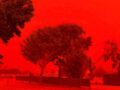 オーストラリアを襲った“血の空”の正体とは