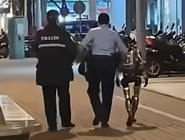 【動画あり】レストランのAIロボット店員が突如ブチギレ発狂！ テーブルを激しく叩き、謎のダンスを踊り狂う事態にの画像4