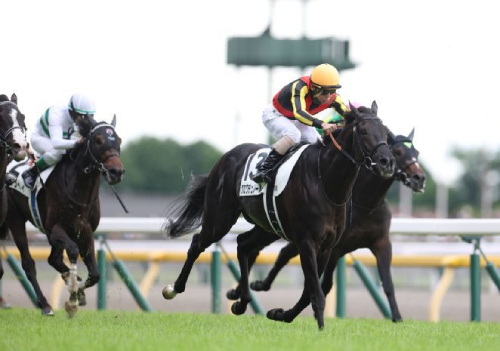 祝G1開幕!第2戦は波乱必至&高額万馬券が狙える豪華メンバーの大阪杯の画像2