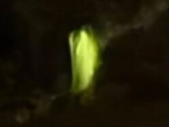 「光の生命体」の召喚に成功!? エクアドルの山中でUFO研究家グループが撮影した“ローブ姿の発光体”