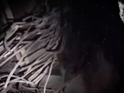 チェルノブイリの“悪魔の心臓”に潜入した男たち！ カメラに映り込んだ放射線ノイズと「ゾウの足」の現在